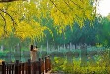 91麻豆女神羞羞研究所-尘封的秘密花园，探寻91麻豆女神背后的羞羞研究所