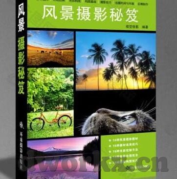 91美女麻豆视频-创造，多元视角下的网络文化探索与思考