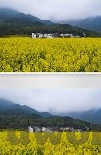 麻豆视传媒app官方直播-探寻直播新视角，麻豆视传媒APP官方直播平台深度体验报告