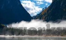 麻豆一区视频在线-麻豆一区视频在线，网络内容消费的潜在风险与合理引导
