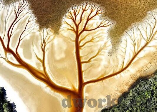 亚洲综合色一区二区三区-亚洲文化多样性的多彩画卷，一区、二区、三区的独特魅力